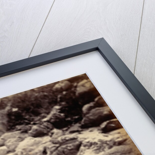 Whatapoho, Lake Rotomahana New Zealand by Anonymous